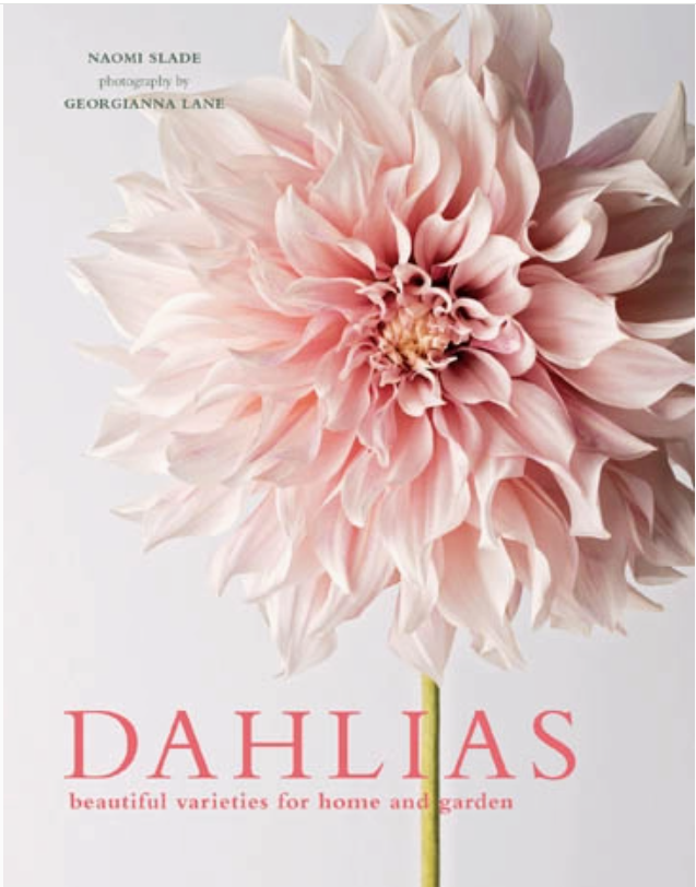 Dahlia Book